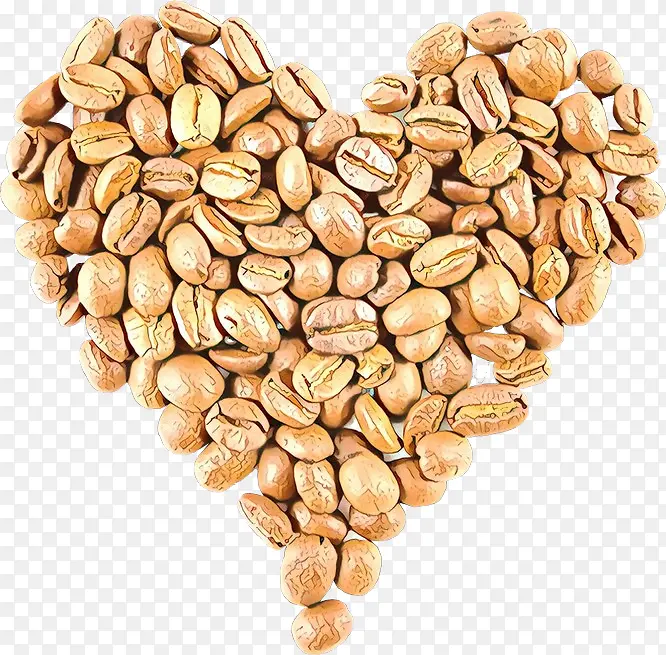 ��ͨ ʳƷ ֲ��-������