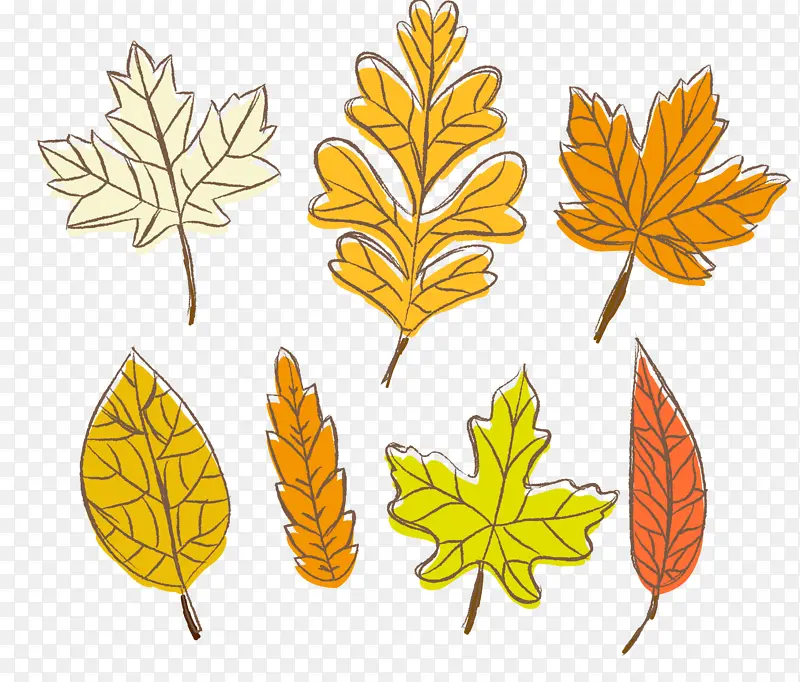 Ҷ�� ֲ�� ��-������