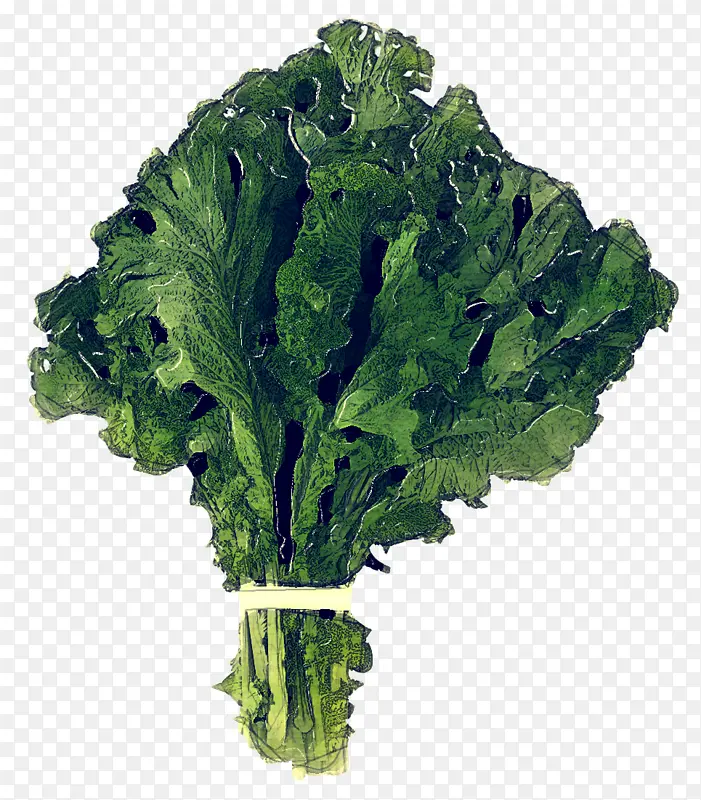 Ҷ�� �߲� ���¸���-������