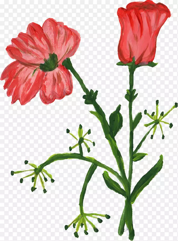 ˮ�ʻ����л���.����-������