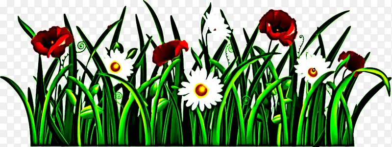 �� ��ɫ ֲ��-������