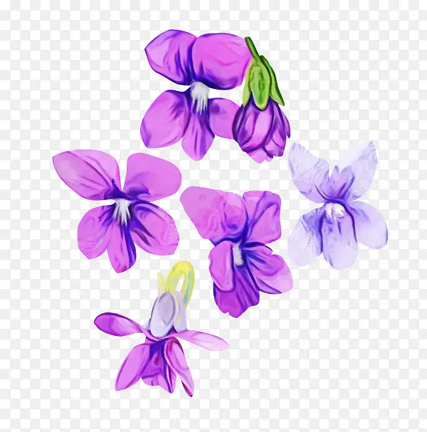 ˮ�� ���� ʪī-������