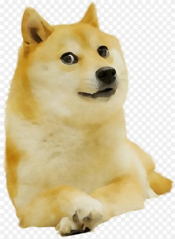 ˮ�ʻ� �滭 ʪī-������