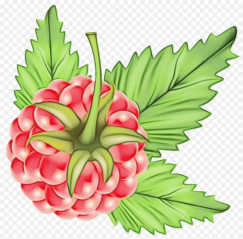 ˮ�ʻ� ���� ʪī-������