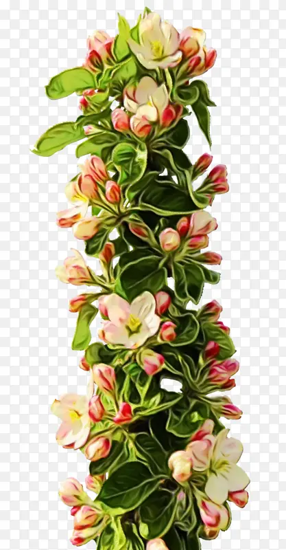 ˮ�� ���� ʪī-������