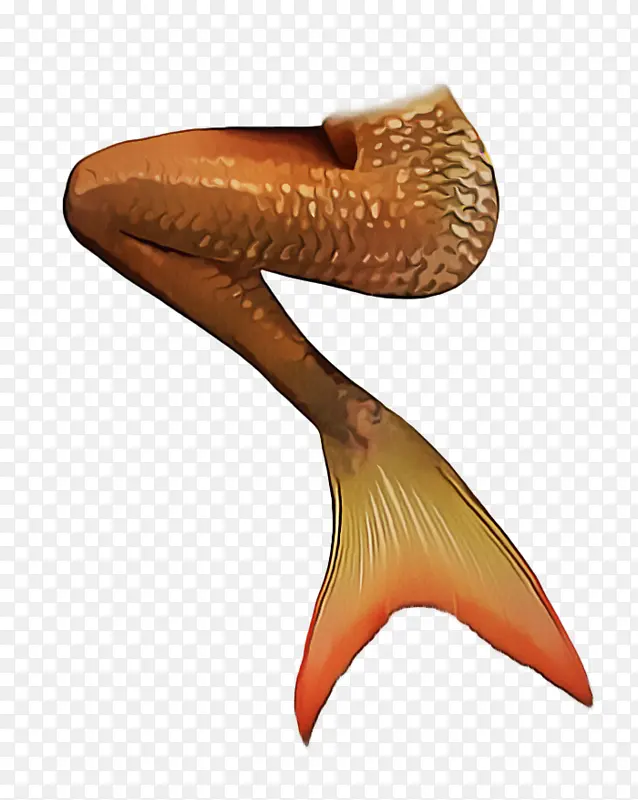 ��ɫ-������