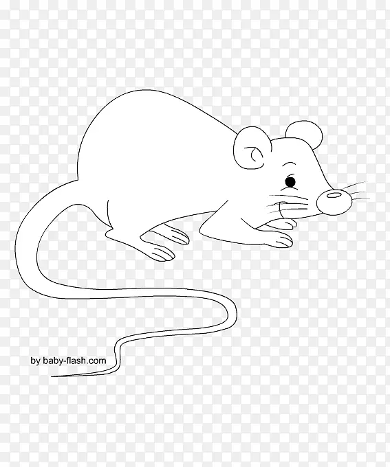 è�����ݶ���-������