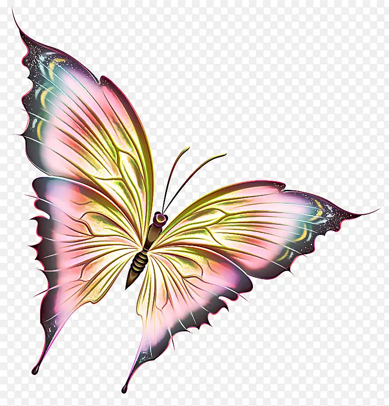 ���� �ɶ�ͺ��� ����-������