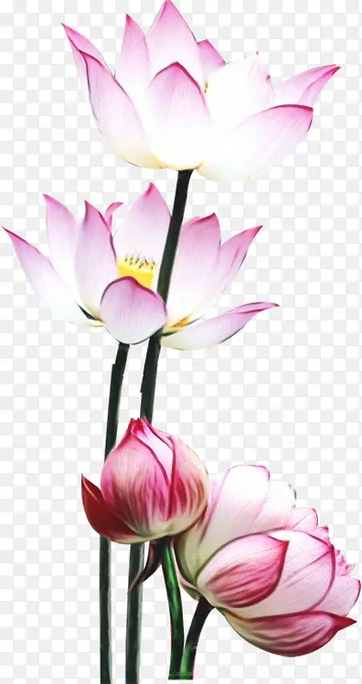 ˮ�� ���� ʪī-������