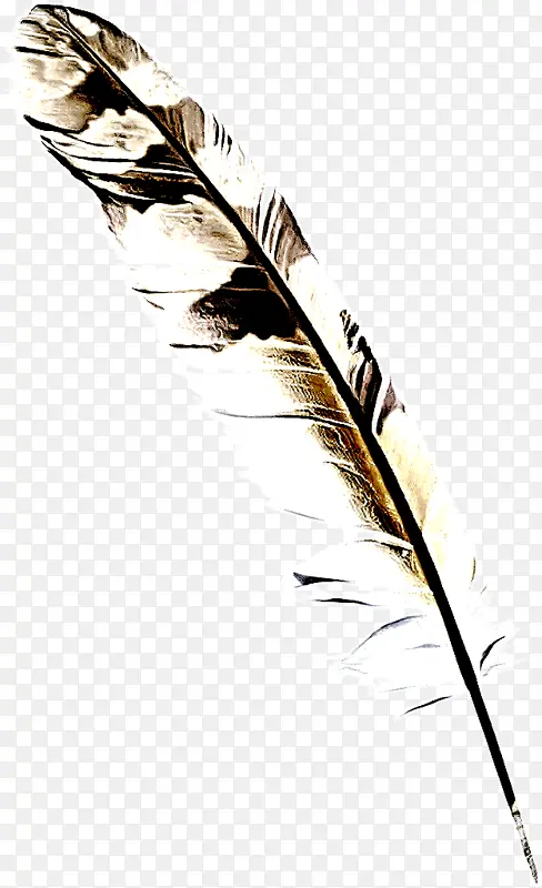 ��ë ��ë�� �ݿ�-������