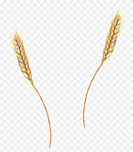 ����� ֲ�� �̱���-������