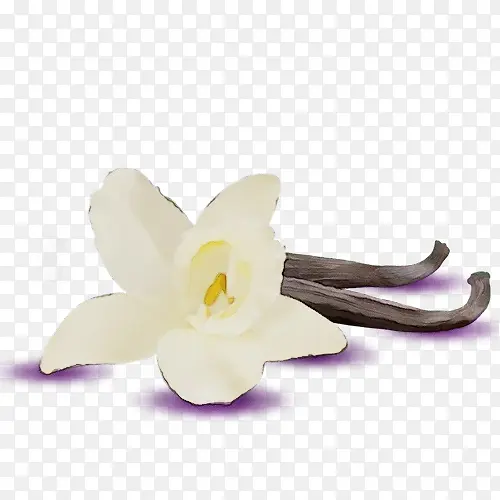 ˮ�� ���� ʪī-������