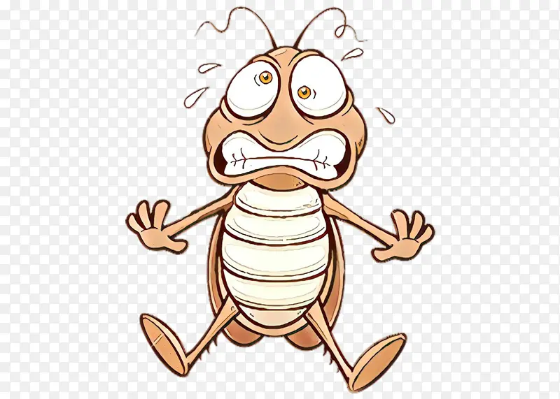 ��ͨ ���� ����-������