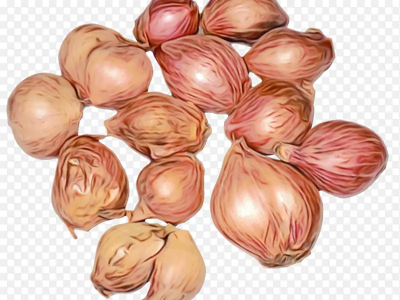 ˮ�� ���� ʪīˮ-������