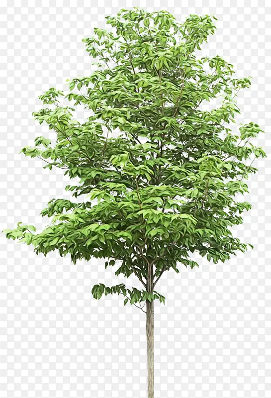 ˮ�� ���� ʪī-������