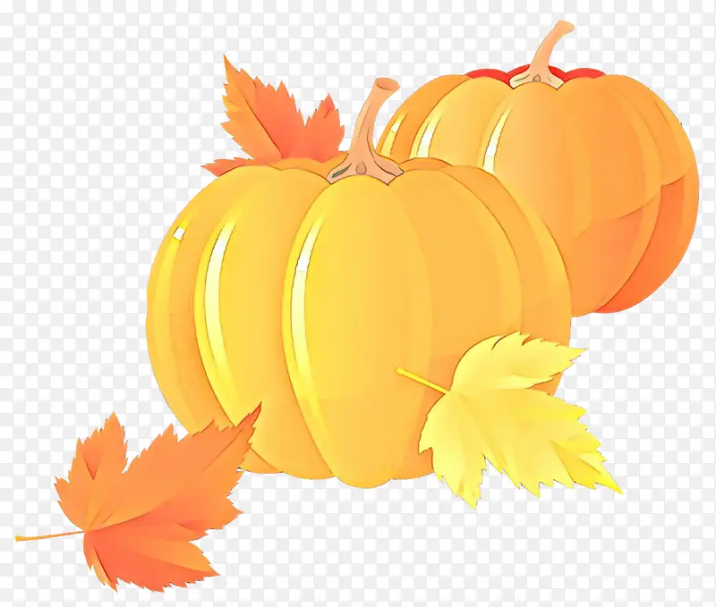 ��ͨ ��ɫ ��ɫ-������