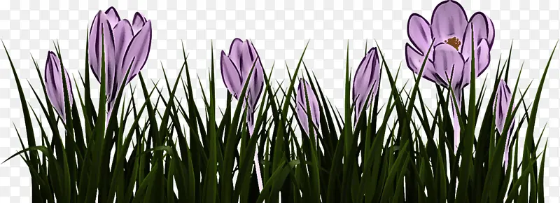 �� ����ֲ�� ֲ��-������