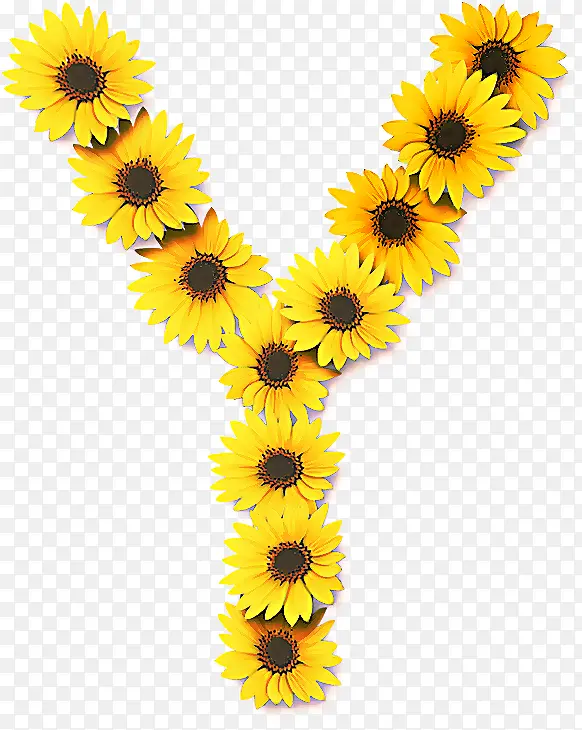 ���տ� �� ��ɫ-������