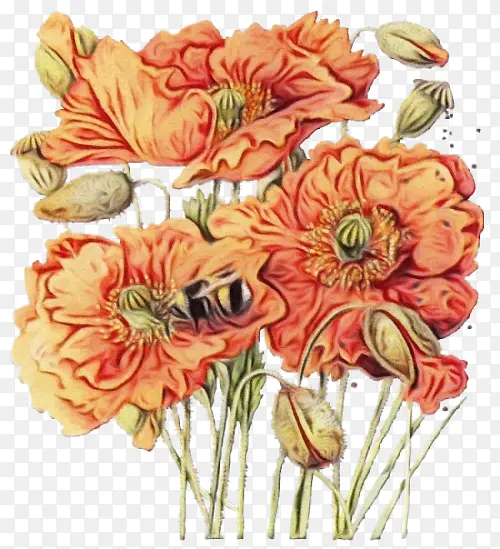 ˮ�� ���� ʪī-������