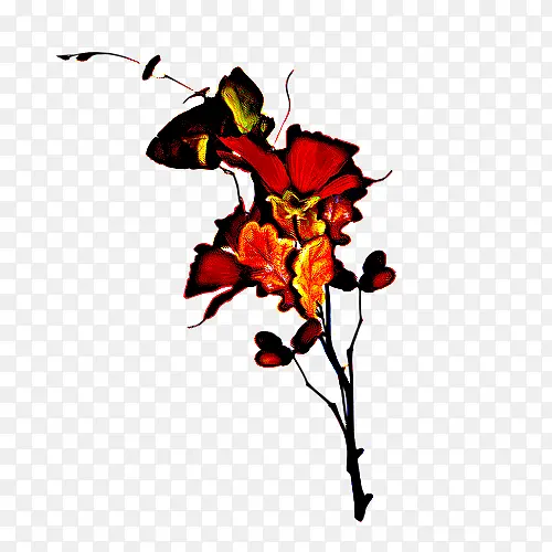 Ҷ�� �� ��֦-������