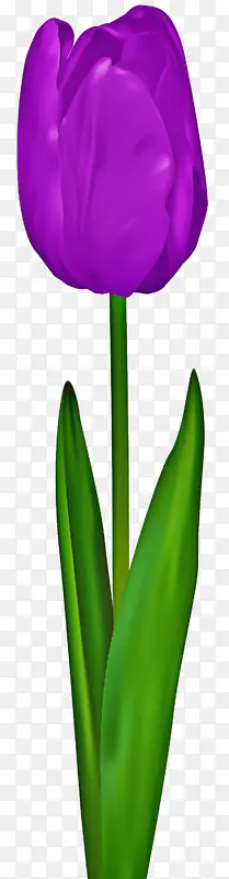 �� ��ɫ ����-������