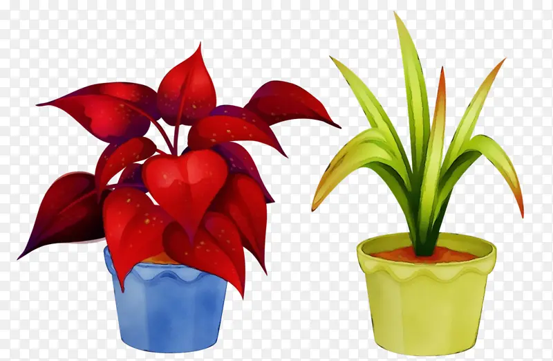 ˮ�� ���� ʪī-������