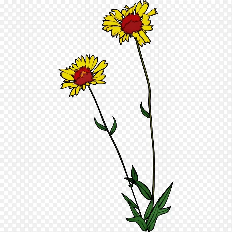 ˮ�ʻ� ���� ʪīˮ-������