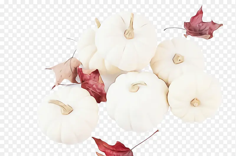 ˮ�� ���� ʪī-������