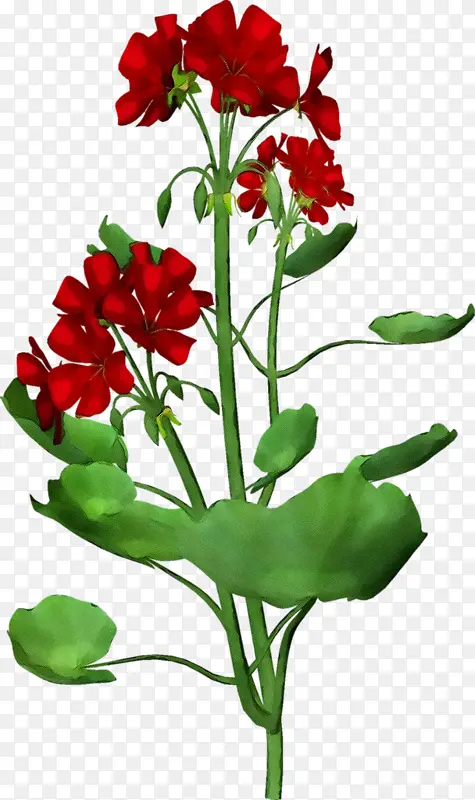 ˮ�� ���� ʪī-������