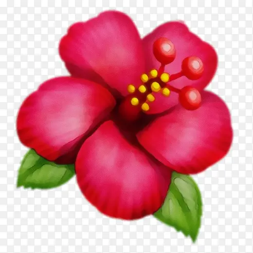 ˮ�ʻ� ���� ʪī-������