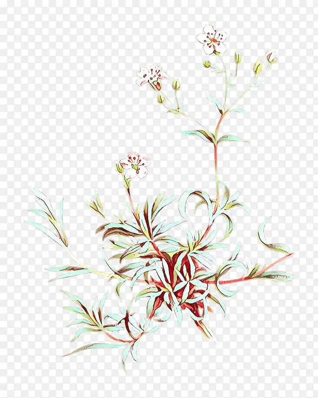 ��ͨ �� ֲ��-������