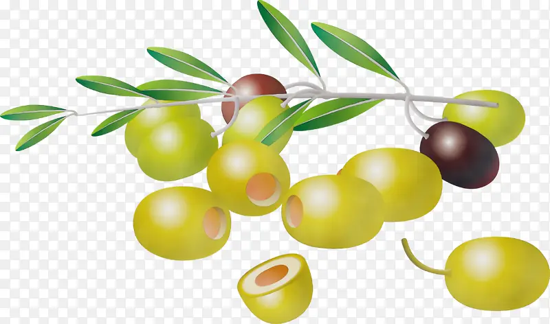 ˮ�� ���� ʪī-������