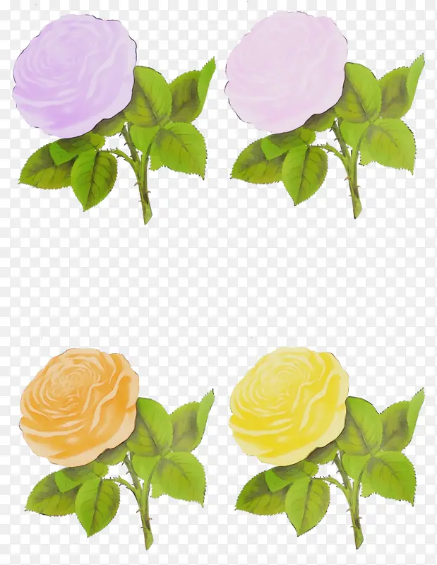 ˮ�ʻ� ���� ʪī-������