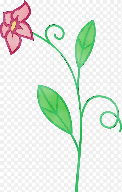 ˮ�ʻ� ���� ʪī-������