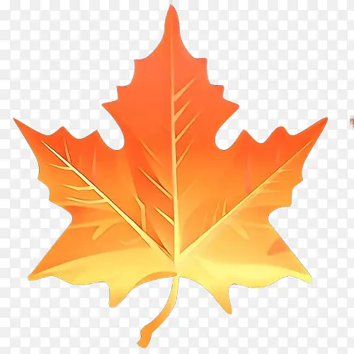 ��ͨ ��Ҷ ��Ҷ-������