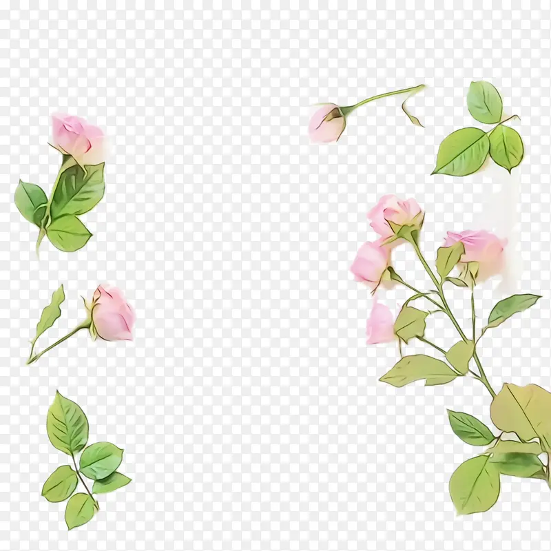 ˮ�ʻ� ���� ʪī-������