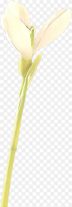 ��ͨ ���� ��ɫ-������