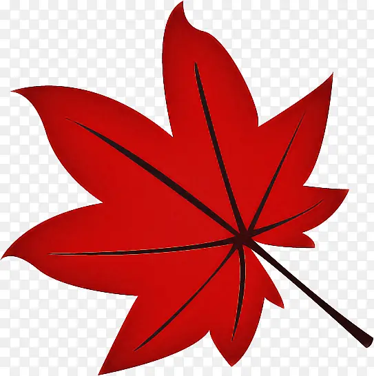 Ҷ�� ��ɫ ��-������