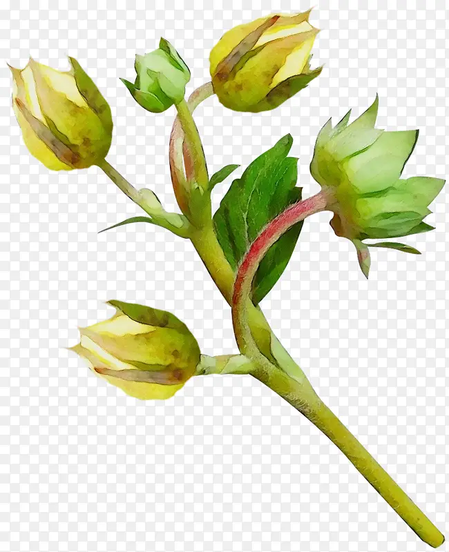 ˮ�� ���� ʪī-������