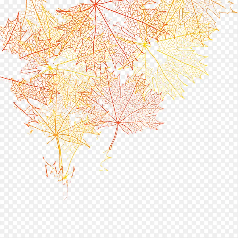 Ҷ�� ��֦ ��-������