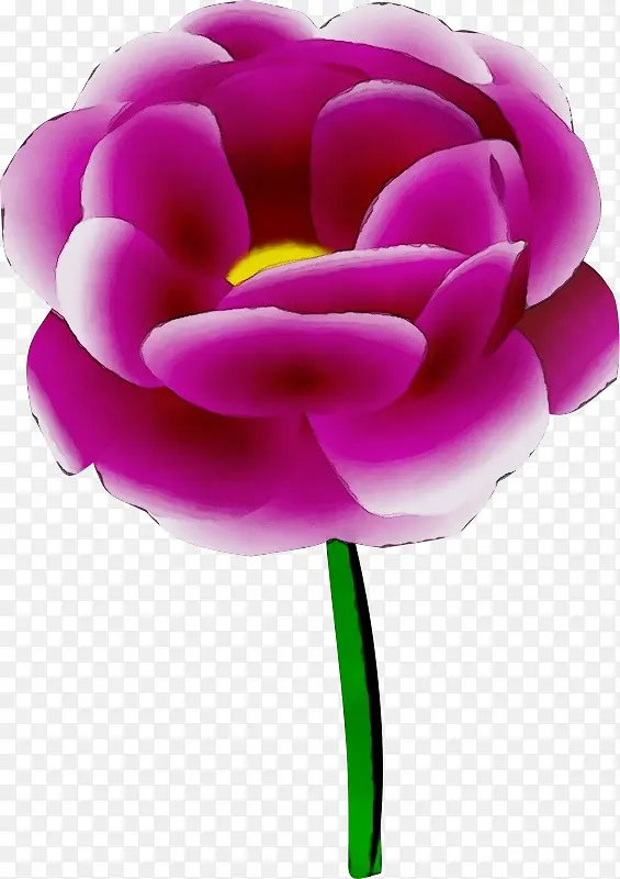 ˮ�� ���� ʪī-������