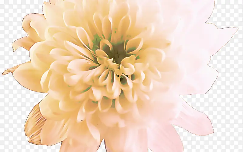 �� ���� ����ֲ��-������