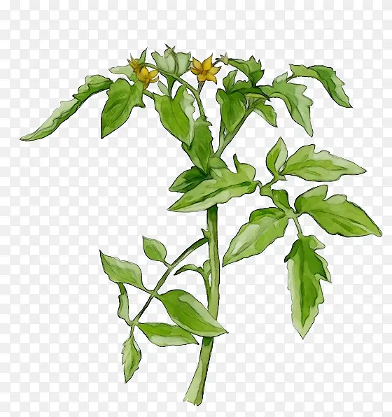 ˮ�ʻ� ���� ʪī-������