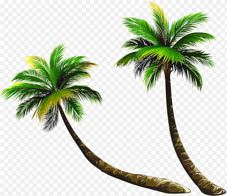 �ɹ���Ʒ�� ����� ����-������