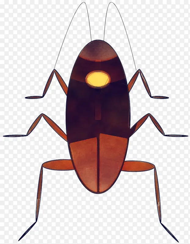 ���� ��� ����-������