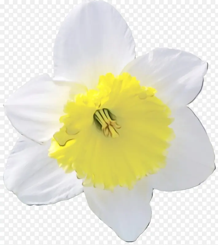 ˮ�� ���� ʪī-������