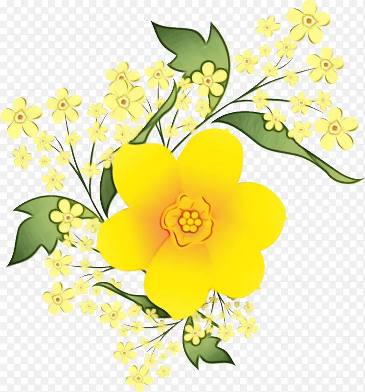 ֲ�� ˮ��-������