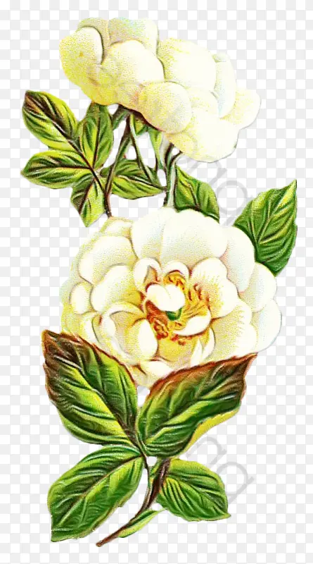 ˮ�� ���� ʪī-������