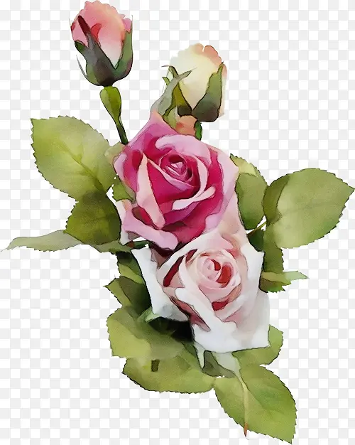 ˮ�� ���� ʪī-������