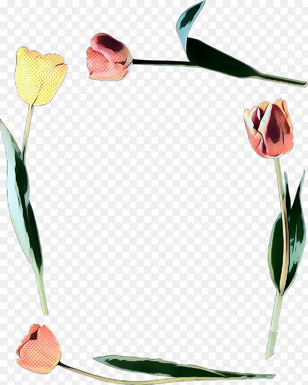 �������� ���� ����-������